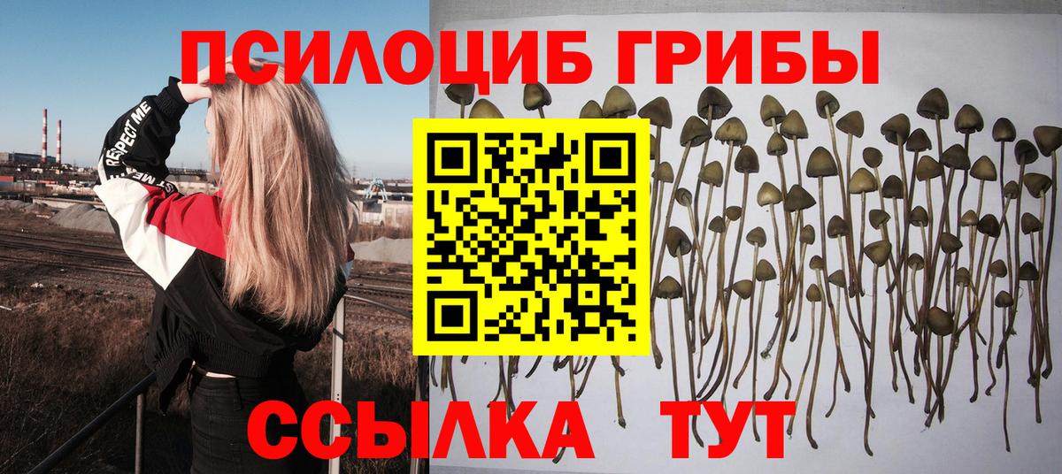 Камышлов  Галлюциногенные грибы мухоморы  Вход с VPN  Галлюциногенные грибы Cubensis 
